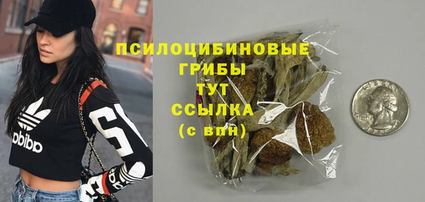 ПСИЛОЦИБИНОВЫЕ ГРИБЫ Киреевск