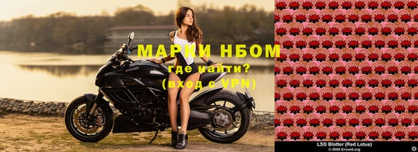 сатива Богданович