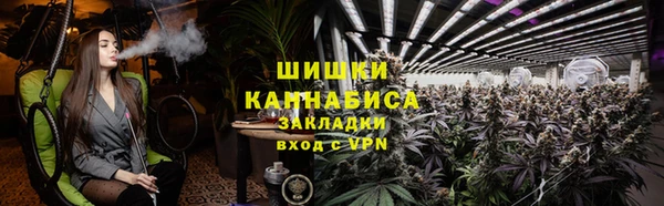 ПСИЛОЦИБИНОВЫЕ ГРИБЫ Кодинск