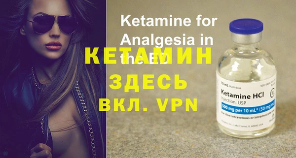 сатива Богданович