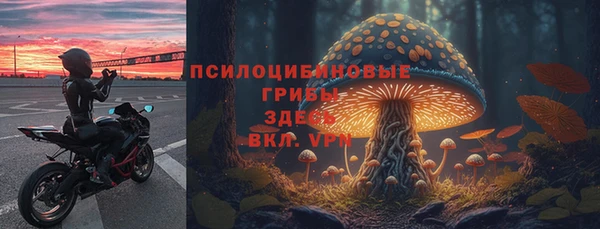 PSILOCYBIN Богородицк