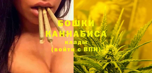 сатива Богданович