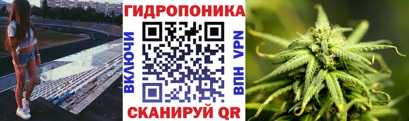 где продают наркотики Малоархангельск Конопля план
